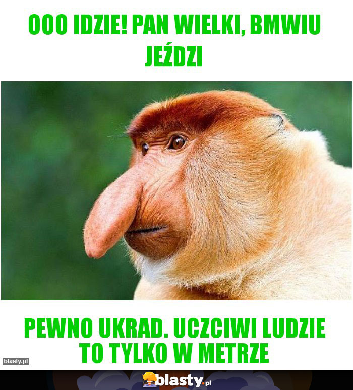 ooo idzie! pan wielki, bmwiu jeździ ooo idzie! pan wielki, bmwiu jeździ