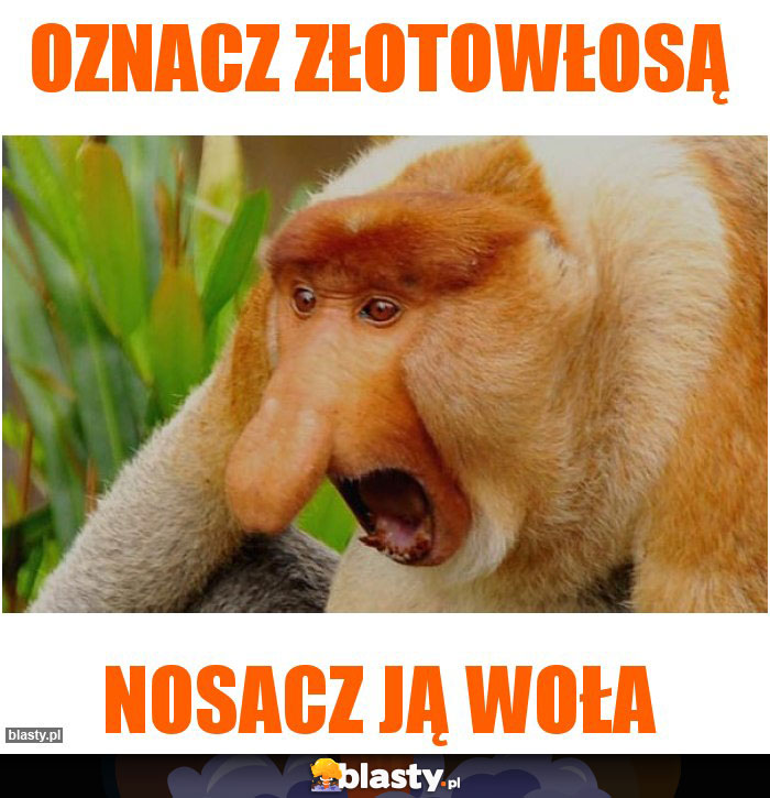 Oznacz złotowłosą