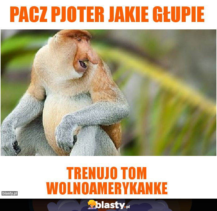 Pacz Pjoter jakie głupie Pacz Pjoter jakie głupie