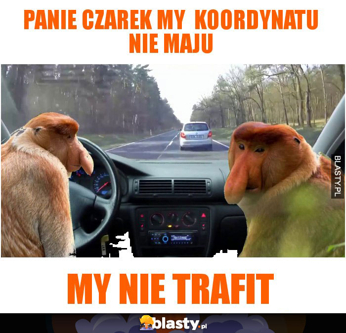 Panie czarek my koordynatu nie maju Panie czarek my koordynatu nie maju