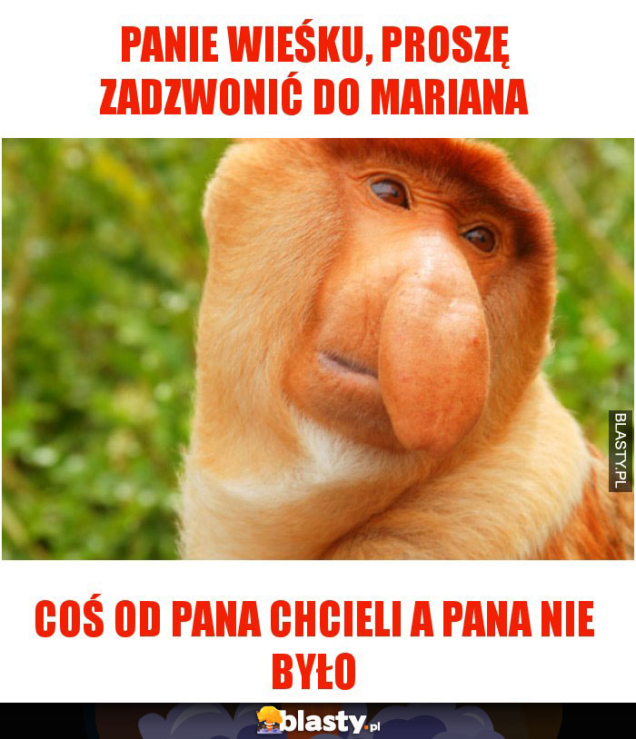 Panie Wieśku, proszę zadzwonić do mariana Panie Wieśku, proszę zadzwonić do mariana