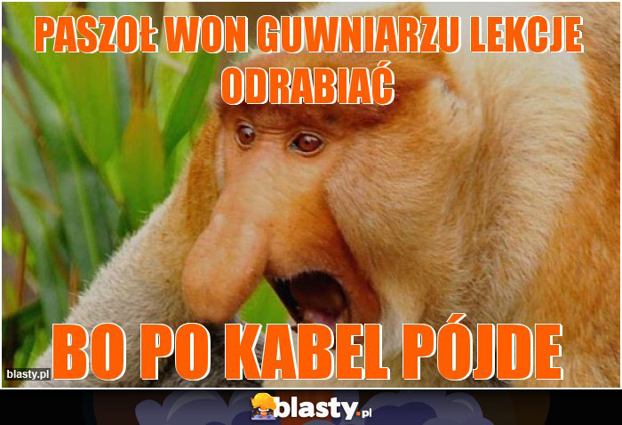 PASZOŁ WON GUWNIARZU LEKCJE ODRABIAĆ PASZOŁ WON GUWNIARZU LEKCJE ODRABIAĆ