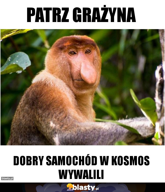 Patrz grażyna Patrz grażyna