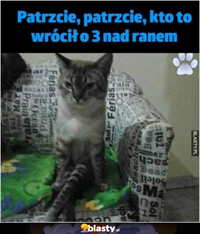 Patrzcie patrzcie kto wrócił o 3 nad ranem