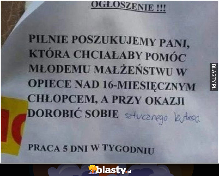 Pilnie poszukujemy pani