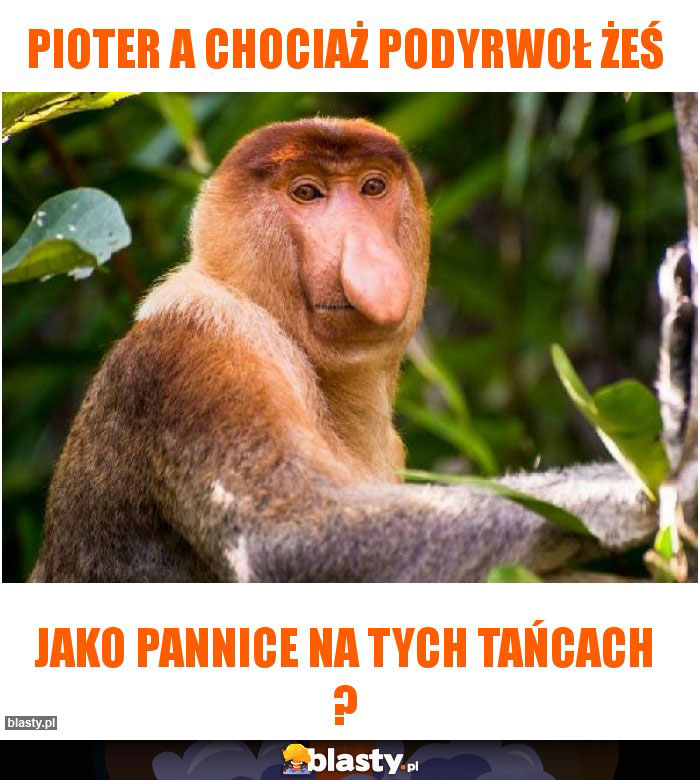 Pioter a chociaż podyrwoł żeś Pioter a chociaż podyrwoł żeś