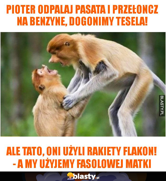 pioter odpalaj pasata i przełoncz na benzyne, dogonimy tesela! pioter odpalaj pasata i przełoncz na benzyne, dogonimy tesela!