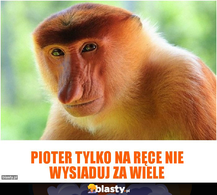 Pioter tylko na ręce nie wysiaduj za wiele Pioter tylko na ręce nie wysiaduj za wiele