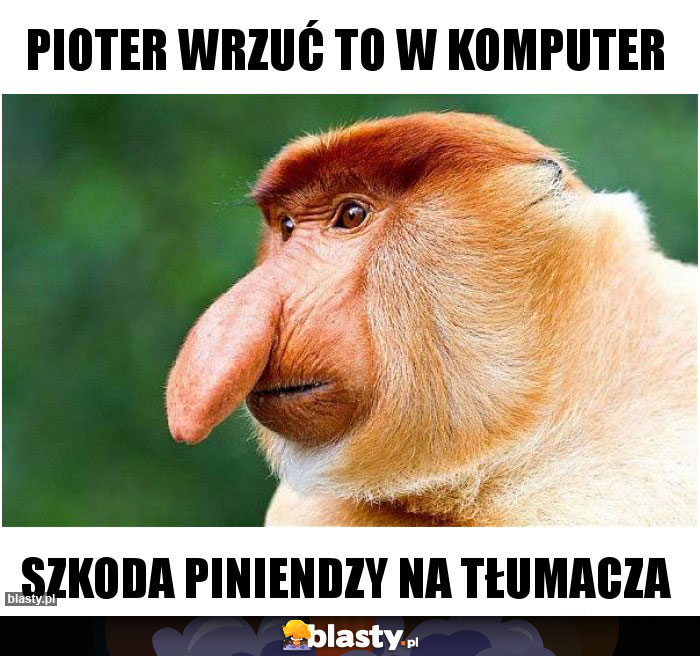 PIOTER WRZUĆ TO W KOMPUTER PIOTER WRZUĆ TO W KOMPUTER