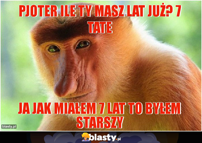pjoter ile Ty masz lat już? 7 tate pjoter ile Ty masz lat już? 7 tate