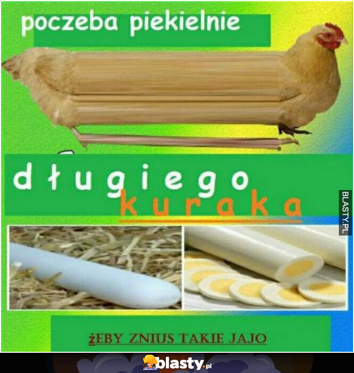 Poczeba piekielnie długiego kuraka