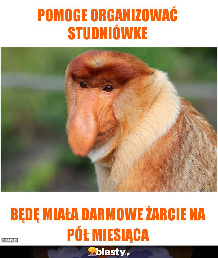 Pomoge organizować studniówke Pomoge organizować studniówke