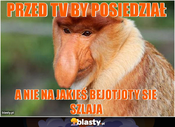 przed tv by posiedział przed tv by posiedział