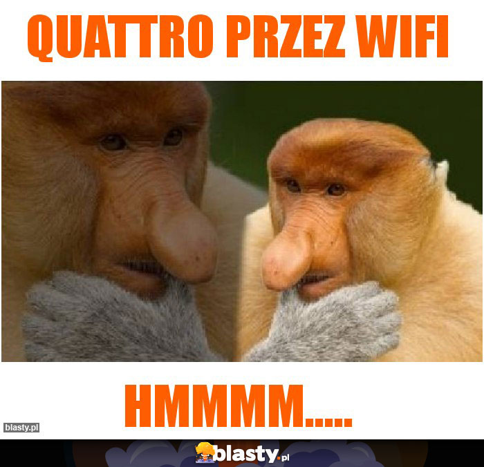 quattro przez Wifi quattro przez Wifi