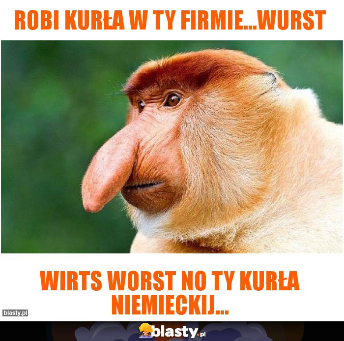 Robi kurła w ty firmie...wurst Robi kurła w ty firmie...wurst