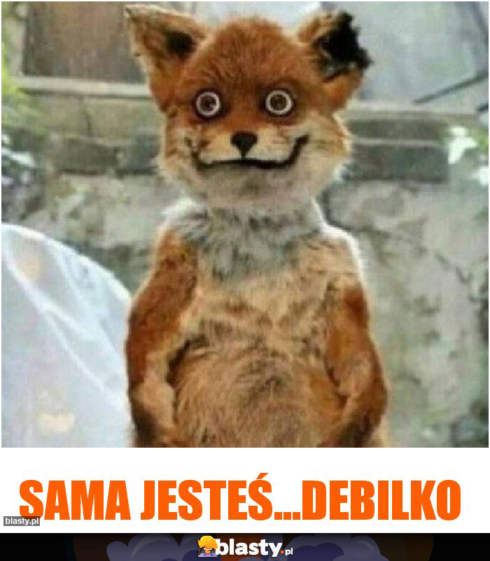 sama jesteś...debilko sama jesteś...debilko