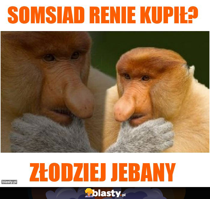Somsiad renie kupił? Somsiad renie kupił?