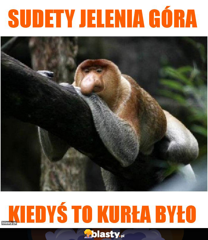 sudety jelenia góra sudety jelenia góra