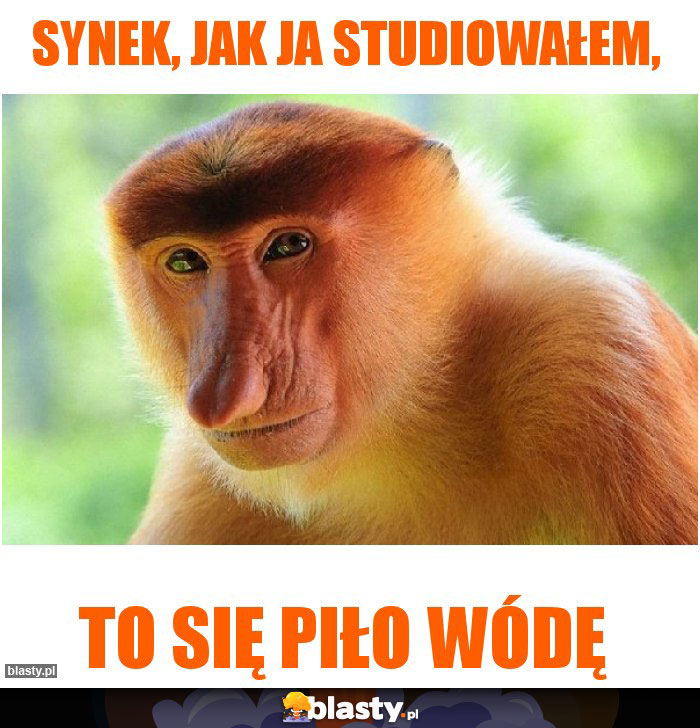 Synek, jak ja studiowałem, Synek, jak ja studiowałem,
