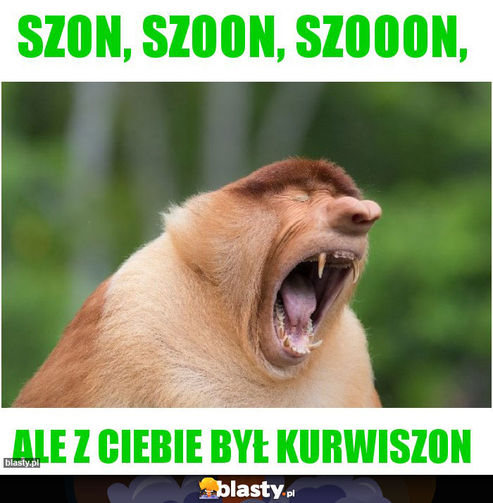 Szon, szoon, szooon, Szon, szoon, szooon,