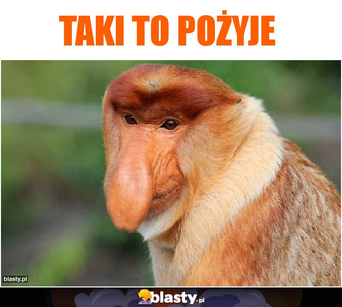 Taki to pożyje Taki to pożyje