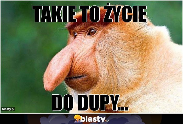 Takie to życie Takie to życie