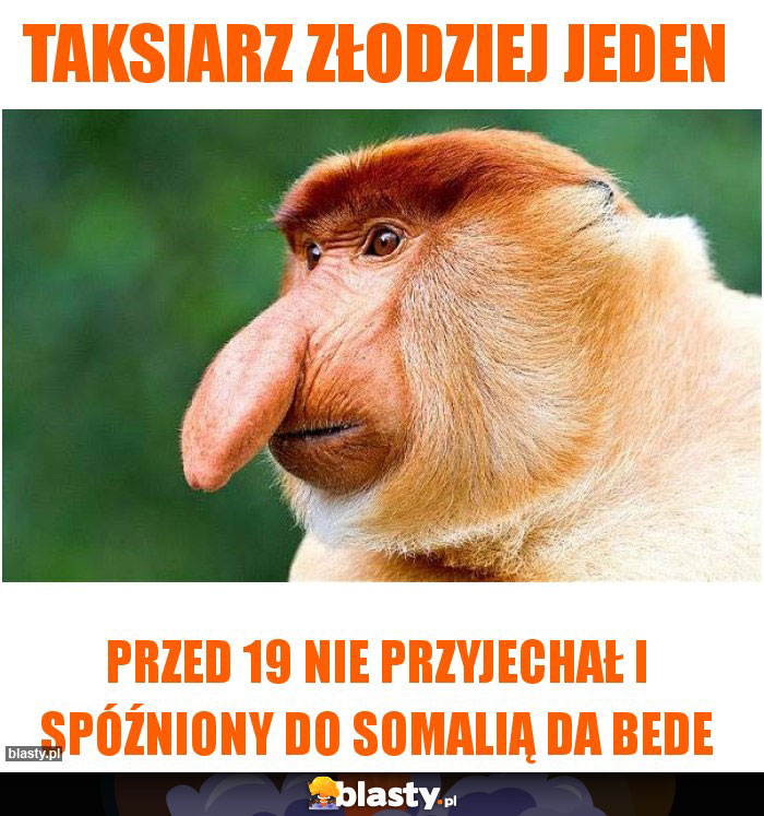 Taksiarz złodziej jeden Taksiarz złodziej jeden