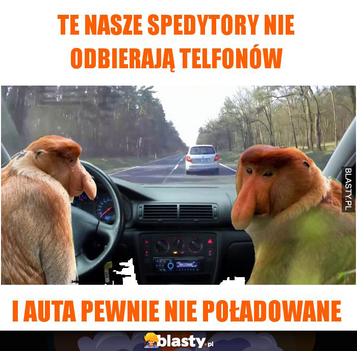 te nasze spedytory nie odbierają telfonów te nasze spedytory nie odbierają telfonów