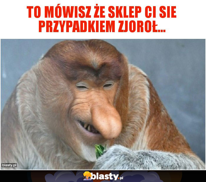 To mówisz że sklep ci sie przypadkiem zjoroł... To mówisz że sklep ci sie przypadkiem zjoroł...