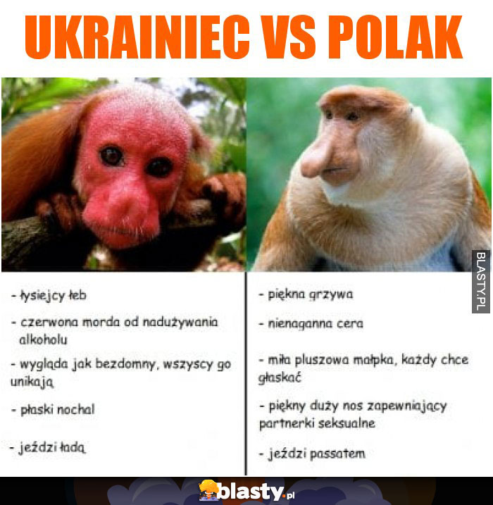 Ukrainiec vs polak
