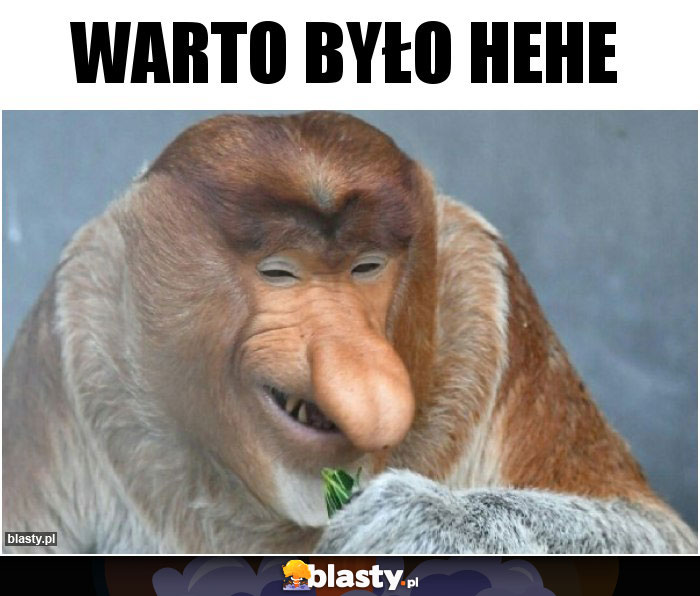 Warto było hehe Warto było hehe