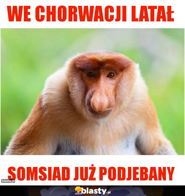 We Chorwacji latał We Chorwacji latał