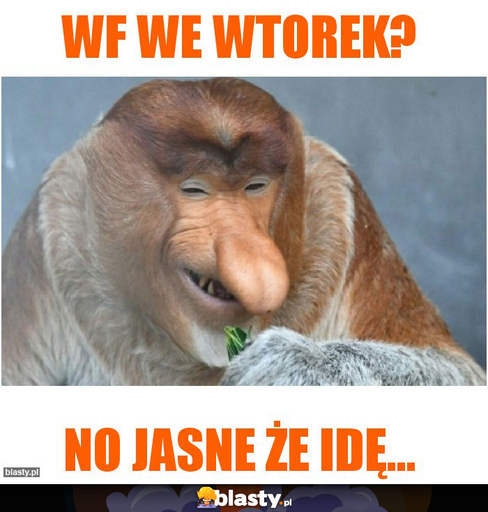 WF we wtorek? WF we wtorek?