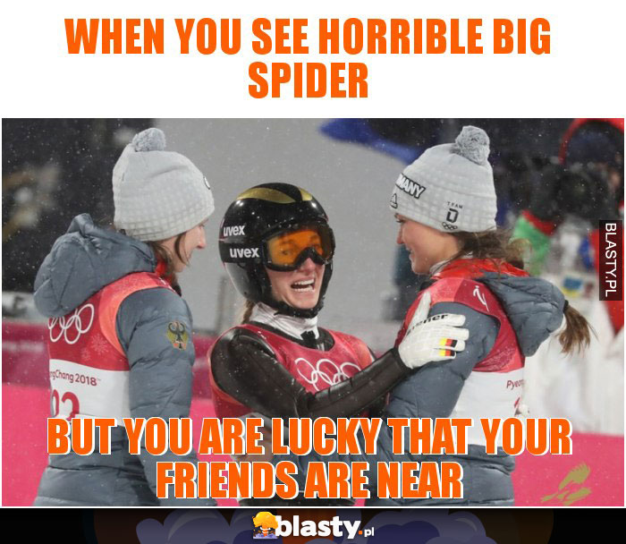 When you see horrible big spider When you see horrible big spider