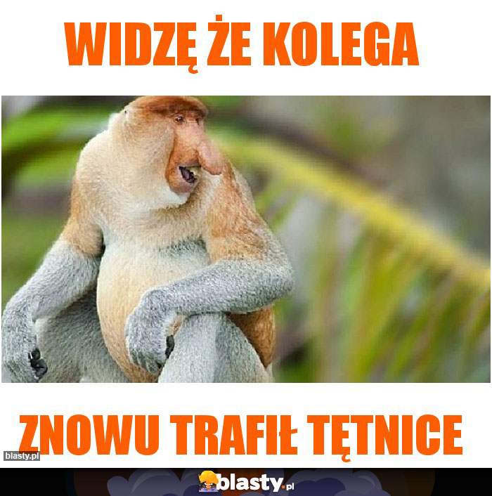 Widzę że kolega Widzę że kolega