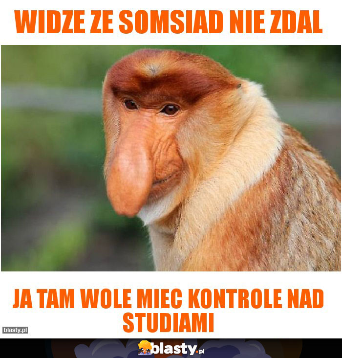 Widze ze somsiad nie zdal Widze ze somsiad nie zdal