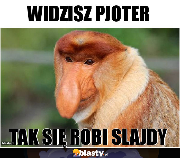 Widzisz Pjoter Widzisz Pjoter