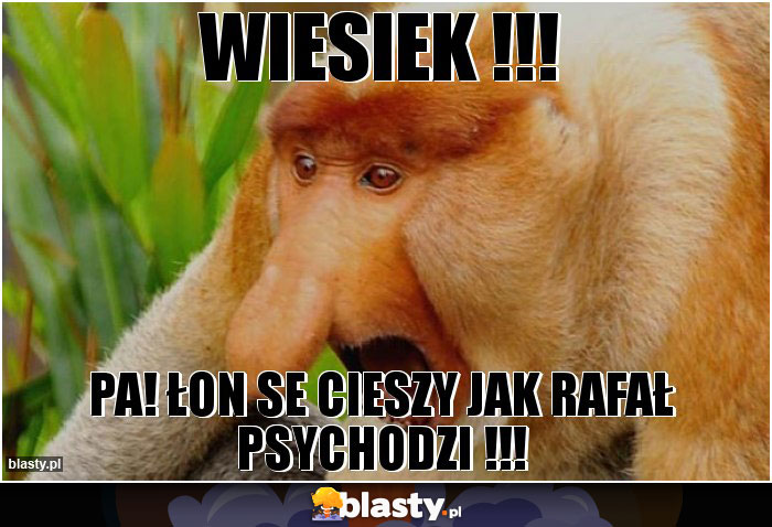 WIESIEK !!! WIESIEK !!!