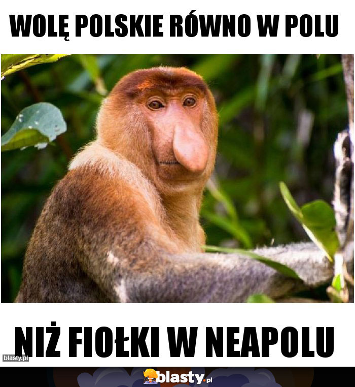 Wolę Polskie równo w polu Wolę Polskie równo w polu