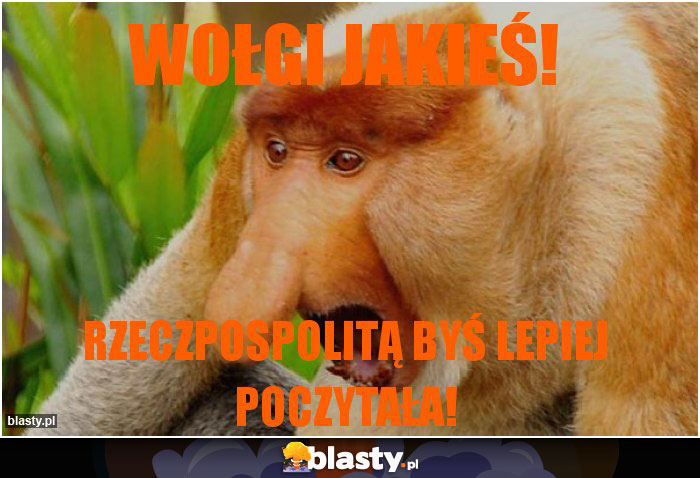 Wołgi jakieś! Wołgi jakieś!