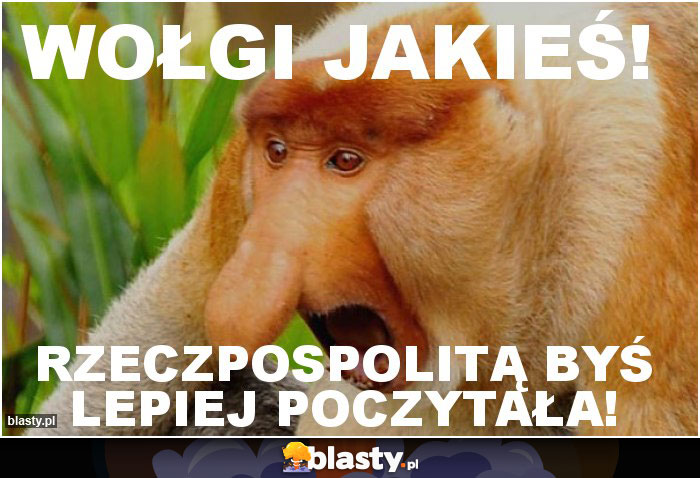 Wołgi jakieś! Wołgi jakieś!