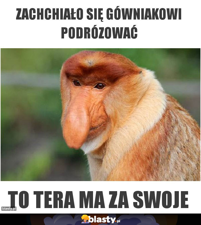 Zachchiało się gówniakowi podrózować Zachchiało się gówniakowi podrózować