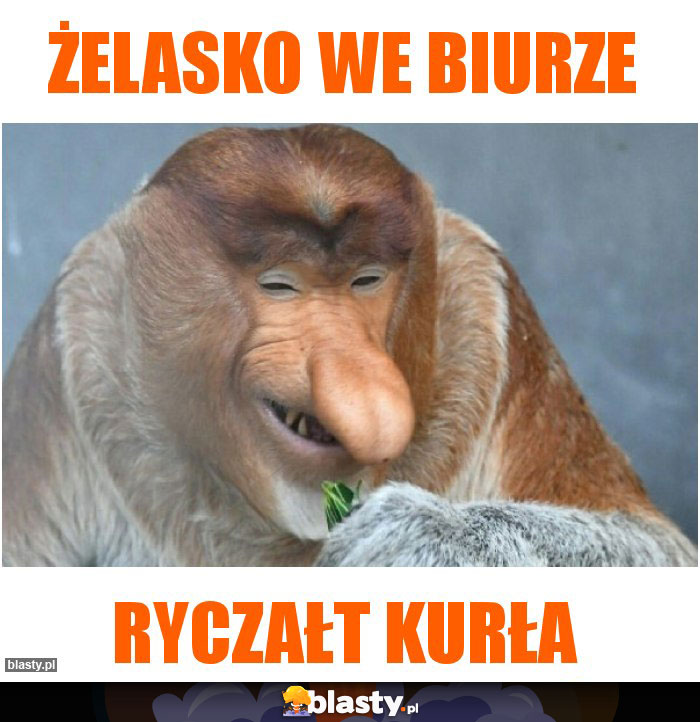Żelasko we biurze Żelasko we biurze