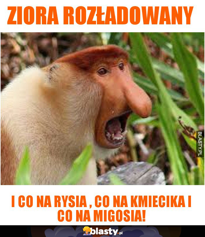 ziora rozładowany ziora rozładowany