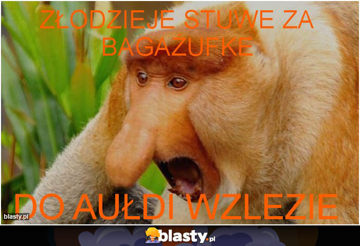 złodzieje stuwe za bagażufke złodzieje stuwe za bagażufke