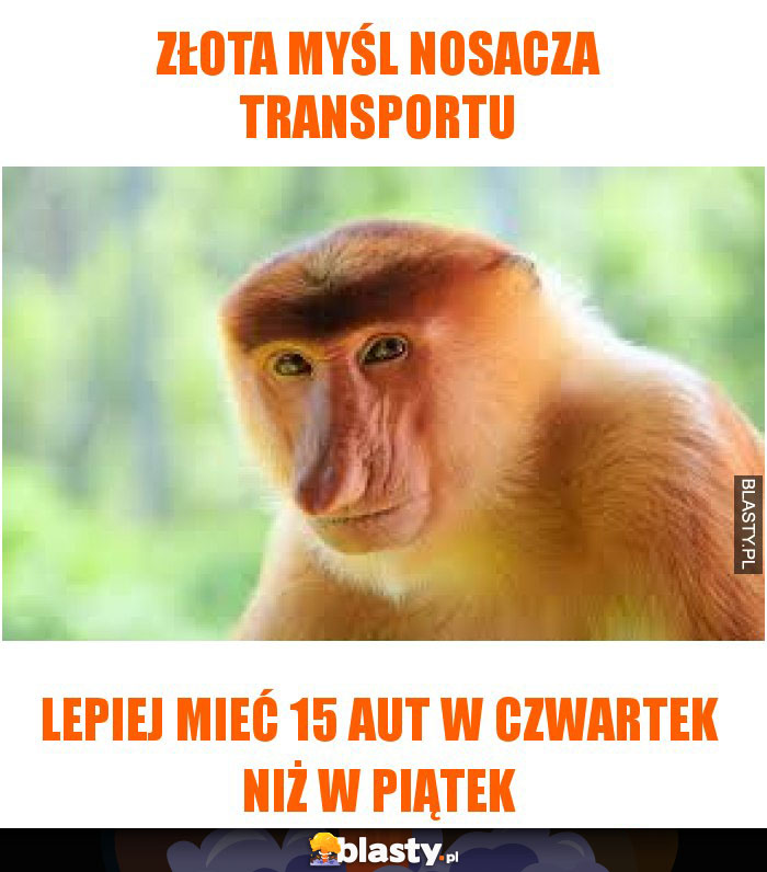 złota myśl nosacza transportu złota myśl nosacza transportu