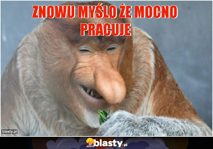 znowu myślo że mocno pracuje znowu myślo że mocno pracuje