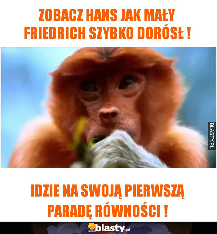 Zobacz Hans jak mały Friedrich szybko dorósł ! Zobacz Hans jak mały Friedrich szybko dorósł !