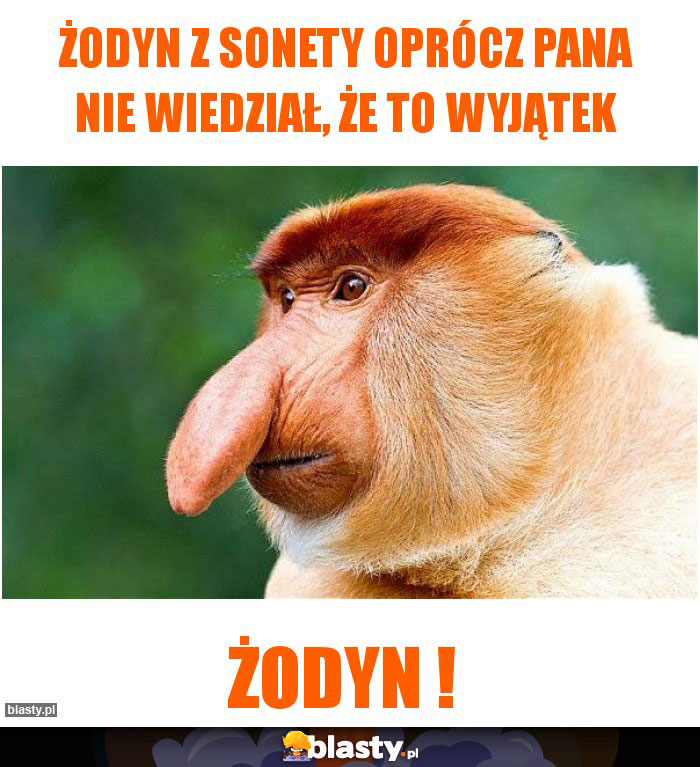 Żodyn z Sonety oprócz Pana nie wiedział, że to wyjątek Żodyn z Sonety oprócz Pana nie wiedział, że to wyjątek