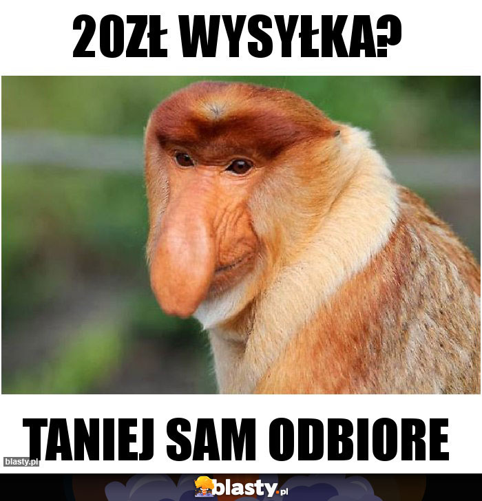 20zł wysyłka? 20zł wysyłka?